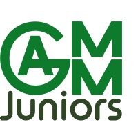 Gamm Juniors logo - Similar company to Ymmor - Young Mathematicians In Model Order Reduction