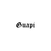 Guapi Official logo - Similar company to Guapi