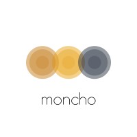 Moncho logo - Similar company to Geomix Ag