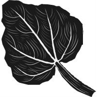 Rhubarb AVL logo - Similar company to Fork And Cork