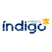 Productos Químicos Índigo S.A. de C.V. logo - Similar company to Quimicos Funcionales