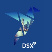 DSX FIDC logo - Similar company to Innova Npl S.A | Securitizadora De Créditos