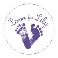 Love for Lily logo - Similar company to Bee Mighty