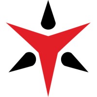 TrapWire Inc. logo - Similar company to Psyapps, Inc.
