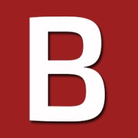 Branzya - Build Your Brand logo - Similar company to Dv9 Network