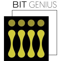 BIT GENIUS logo - Similar company to Swiss Probrands Sagl