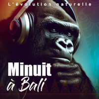 Minuit à Bali logo - Similar company to Sur4Plots