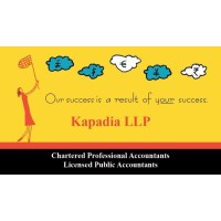 Kapadia LLP/ CPA4Drs™ logo - Similar company to Shutterb