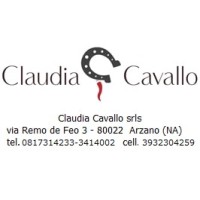 CLAUDIA CAVALLO SRLS logo - Similar company to E L L E R P H A R M A