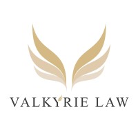 Valkyrie Law logo - Similar company to Bott & Associates, Ltd.