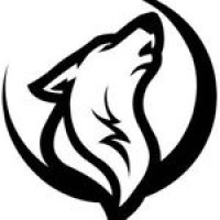 Wolfe Pickleball logo - Similar company to Single Double Pickleball