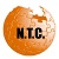 Network Thinking Consulting logo - Similar company to B-Angular Business Controlling