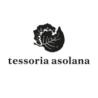 Tessoria Asolana logo - Similar company to Ergonauth