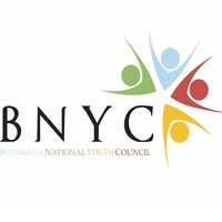 Botswana National Youth Council- BNYC logo - Similar company to Strikitsa Consulting