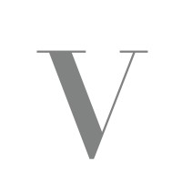 Visage International Management logo - Similar company to Option Model Agency