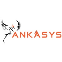 ANKASYS logo - Similar company to Tanpera