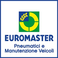 Euromaster Italia logo - Similar company to ◢◤◢◤ Sipav