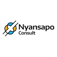 Nyansapo Consult logo - Similar company to Hse-Masters