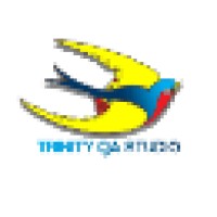 Trinity QA Studio logo - Similar company to Grin