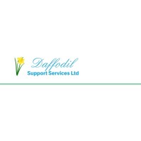 DAFFODIL SUPPORT SERVICES LTD logo - Similar company to Daffodil Welsh Language Childcare
