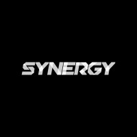 SYNERGY logo - Similar company to Hubblr Ai