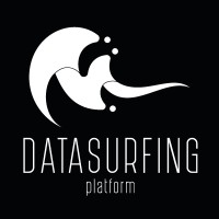 Data Surfing Platform logo - Similar company to Beavercode Sagl