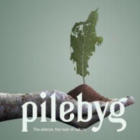 PILEBYG a/s logo - Similar company to Genbyg A/S