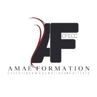AMAE Formation logo - Similar company to Jl Communication