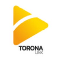 Torona Link Ltd. logo - Similar company to Torana Enterprises Private Limited