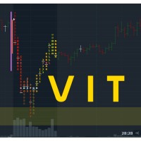 Vilnius Institute of Trading logo - Similar company to Mind University