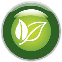 Future Focus Energy Limited