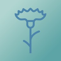 The Mindful Lawyer
