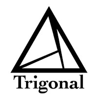Trigonal logo - Similar company to Nebula Ventures