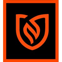 NARPION logo - Similar company to Narpion App