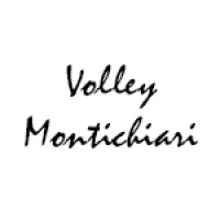 Volley Montichiari logo - Similar company to Tonoli Srl