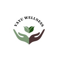 Vayu Wellness logo - Similar company to Rootpro India Solutions