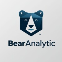 BearAnalytic logo - Similar company to Bear Analytics