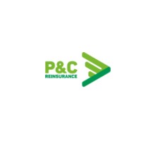 P&C Reinsurance logo - Similar company to Fusure Reinsurance Company Limited
