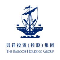 THE BALLOCH GROUP logo - Similar company to Whitehaven