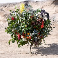 GRA&GREEN Inc logo - Similar company to Ciconia Bioventures Inc