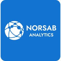 NORSAB ANALYTICS logo - Similar company to Software Soefe Sa