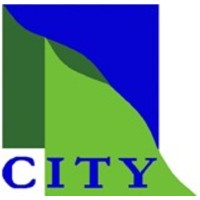 City Survey