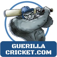 Guerilla Cricket