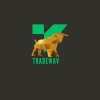 Tradewav logo - Similar company to Caspia Data Consultancy