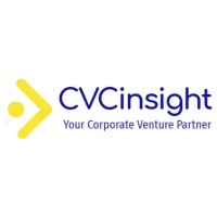CVCinsight by Expara logo - Similar company to Twofourseven Strategy