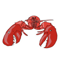 Canadian Lobster Research Network - CLRN logo - Similar company to North Slave Métis Alliance