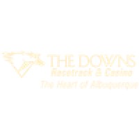 Downs At Albuquerque Inc logo - Similar company to Lighthouse Business Information Solutions, Llc Has Merged With Ironedge Group