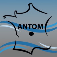 ANTOM logo - Similar company to Instalab