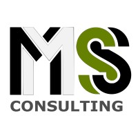 MS Consulting LLC logo - Similar company to Ms Services Official