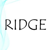 Ridge Construction logo - Similar company to Ridge Construction Corp.
